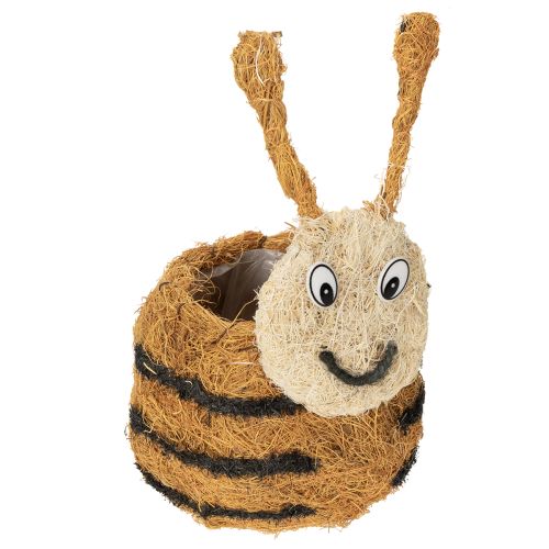 Floristik24 Figurine d'abeille en matériaux naturels, au design adorable, idéale pour les chambres d'enfants, 24 cm, lot de 2.