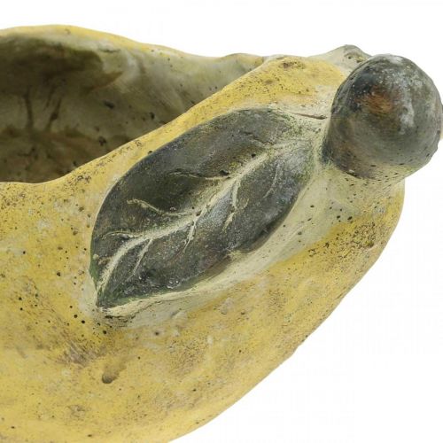 Article Poire à planter, décoration d&#39;automne, vase en béton L19cm H15.5cm