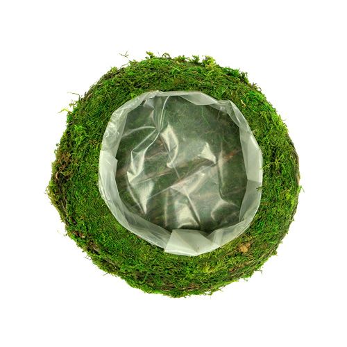 Floristik24 Bol à plantes branches de mousse Ø20cm