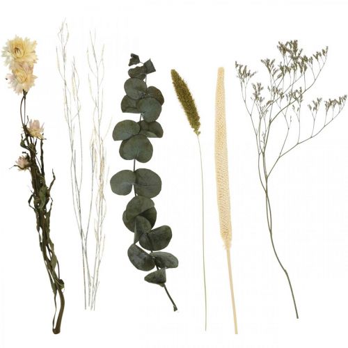 Floristik24 Bouquet de fleurs séchées eucalyptus coffret fleuristerie sèche H30-35cm