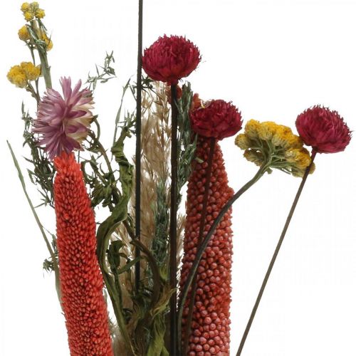 Article Bouquet de fleurs séchées fleurs des prés rose DIY set H30-35cm