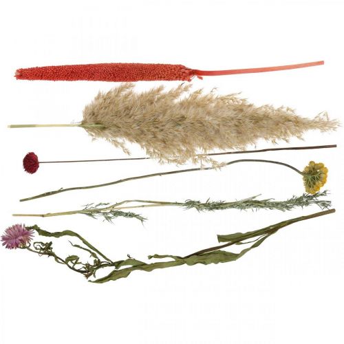 Article Bouquet de fleurs séchées fleurs des prés rose DIY set H30-35cm