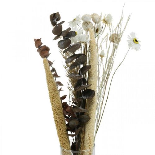 Bouquet de fleurs séchées à l&#39;eucalyptus blanc DIY box H30-35cm
