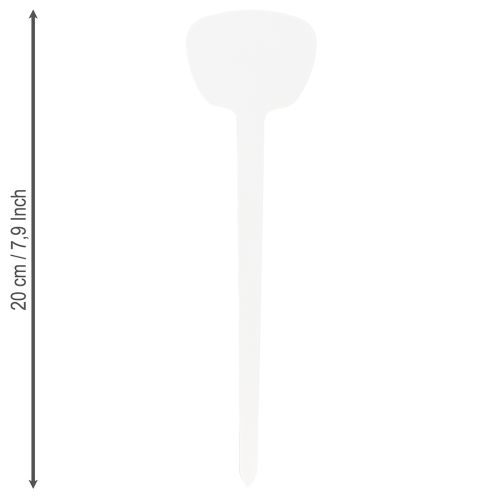 Article Etiquette plante 16cm 10pcs.
