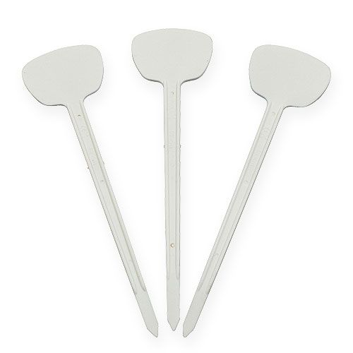 Floristik24 Etiquette plante 16cm 10pcs.
