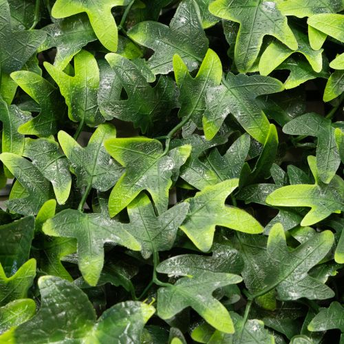 Tapis de lierre artificiel vert 60x60 cm pour décoration murale | Floristik24.be