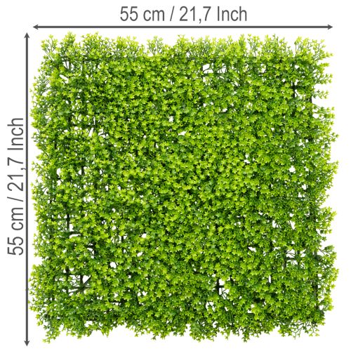 Tapis décoratif mural en buis artificiel 55x55 cm | Floristik24.be