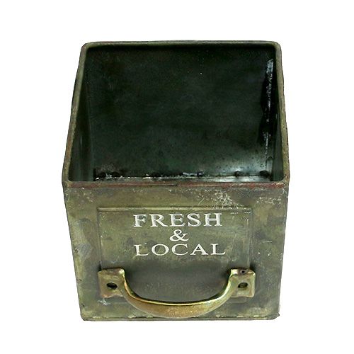 Floristik24 Bac à plantes antique carré 10 x 10 cm