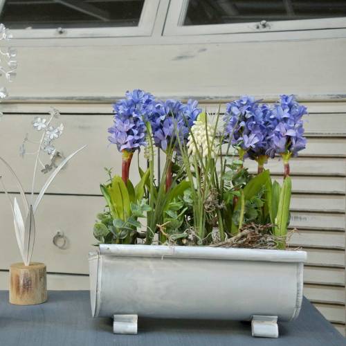 Floristik24 Gouttière jardinière 25cm