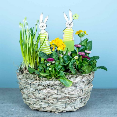 Floristik24 Jardinière en foin, panier décoratif, panier à plantes, panier à fleurs ovale lot de 3