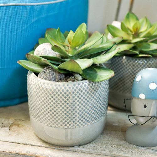 Floristik24 Jardinière en céramique, jardinière tressée, pot en céramique Ø13cm 3pcs
