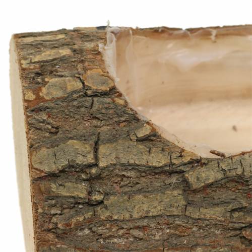 Floristik24 Jardinière bois d'orme 20cm x 11cm H9cm
