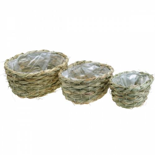 Jardinière en foin, panier décoratif, panier à plantes, panier à fleurs ovale lot de 3