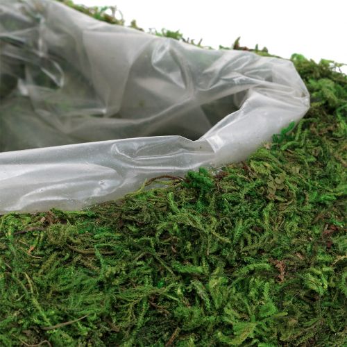 Floristik24 Plante coeur mousse 28cm x 23cm