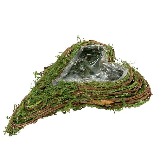 Floristik24 Plante coeur mousse et vigne 30cm x 20cm
