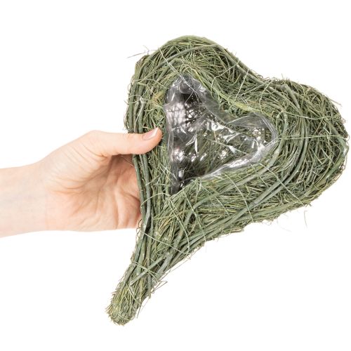 Cœur de plante naturelle pour l'art floral avec feuille d'aluminium, 25 cm | Floristik24.be