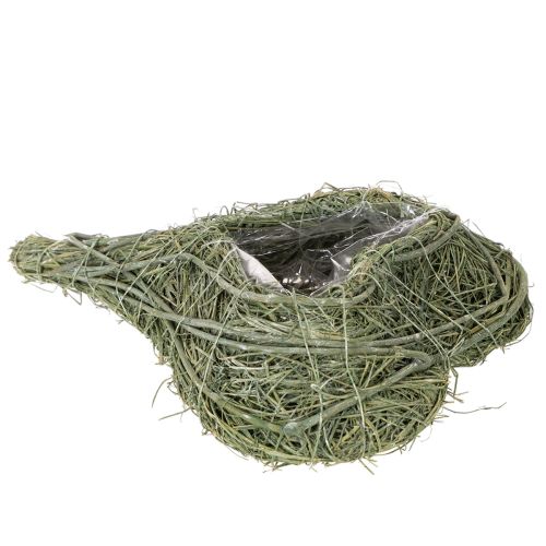 Cœur de plante naturelle pour l'art floral avec feuille d'aluminium, 25 cm | Floristik24.be