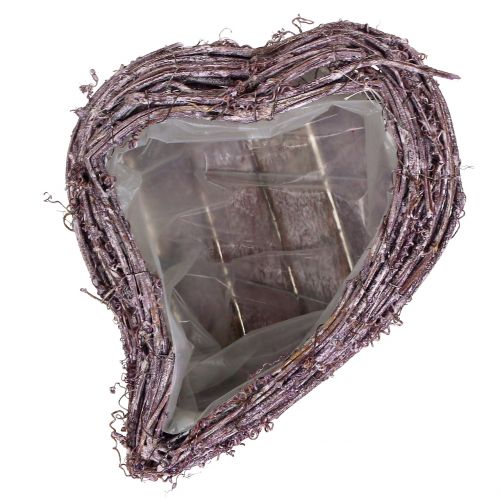 Floristik24 Plante coeur de vigne mûre blanchie à la chaux 27cm x 24cm