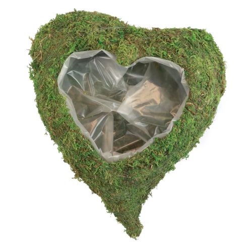 Article Coeur de plante mousse verte bol de plante coeur 26×30×8cm