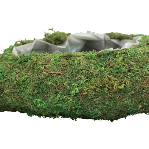 Floristik24 Coeur de plante mousse verte bol de plante coeur 26×30×8cm