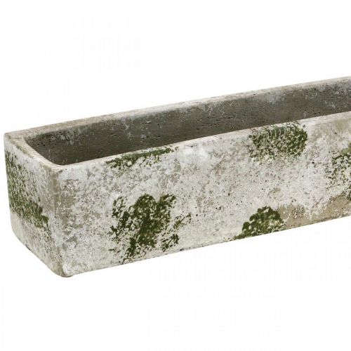 Floristik24 Jardinière en béton aspect antique Bac à fleurs rectangulaire 40×8×7cm