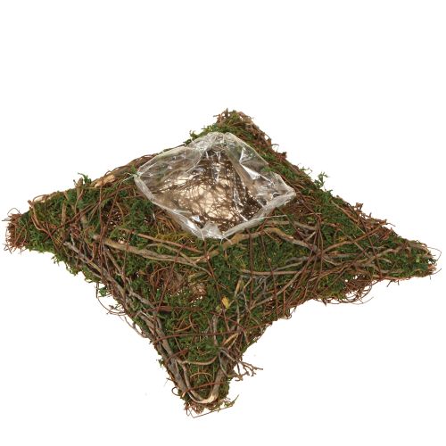 Coussin végétal en mousse de vigne naturelle 20 × 20 × 6,5 cm