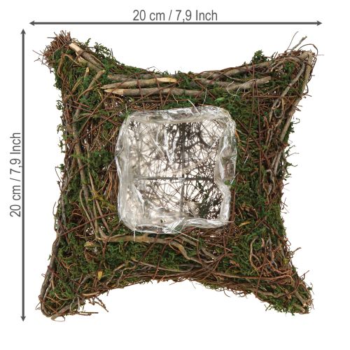 Article Coussin végétal en mousse de vigne naturelle 20 × 20 × 6,5 cm