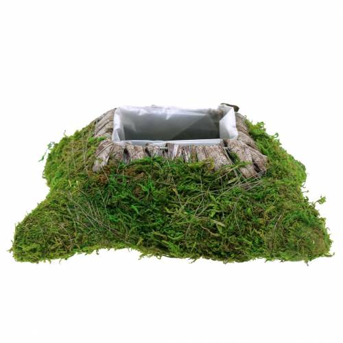 Floristik24 Coussin végétal mousse, écorce 25cm × 25cm