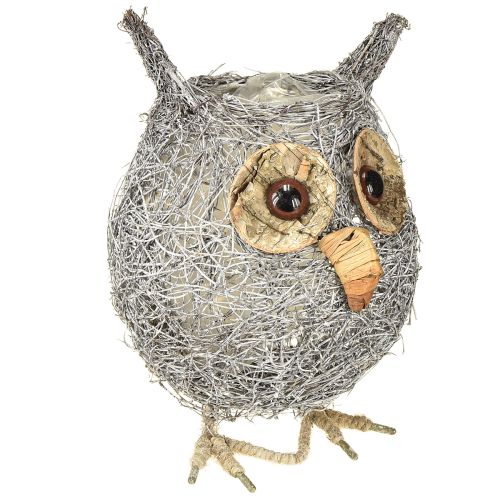 Floristik24 Panier à plantes hibou vigne blanc lavé Ø14cm