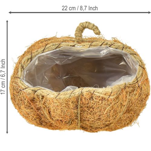 Article Panier à plantes citrouille décoration d&#39;automne orange Ø22cm H17cm