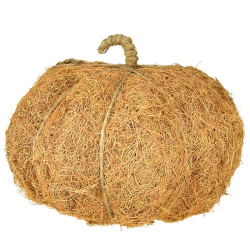 Article Panier à plantes citrouille décoration d&#39;automne orange Ø22cm H17cm