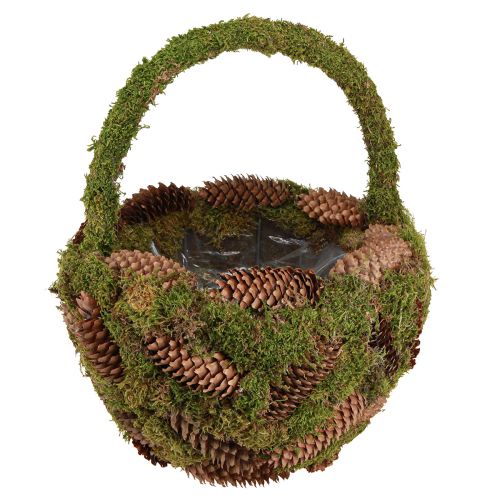 Article Panier à plantes panier à cônes d&#39;épicéa mousse avec anse Ø32cm H42cm