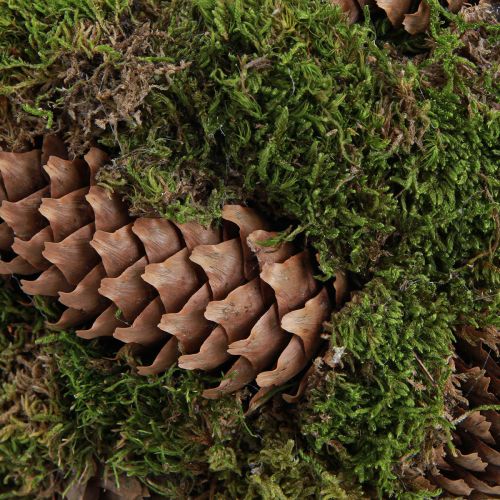 Article Panier à plantes panier à cônes d&#39;épicéa mousse avec anse Ø32cm H42cm