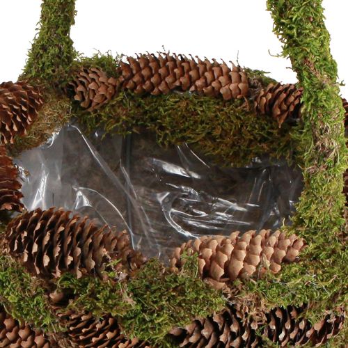 Article Panier à plantes panier à cônes d&#39;épicéa mousse avec anse Ø32cm H42cm