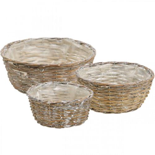 Panier à plantes panier en osier blanc lavé Ø21,5/26/Ø31cm lot de 3