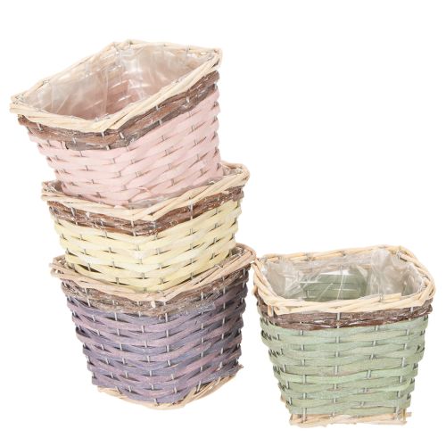  acheter | Floristik24.be