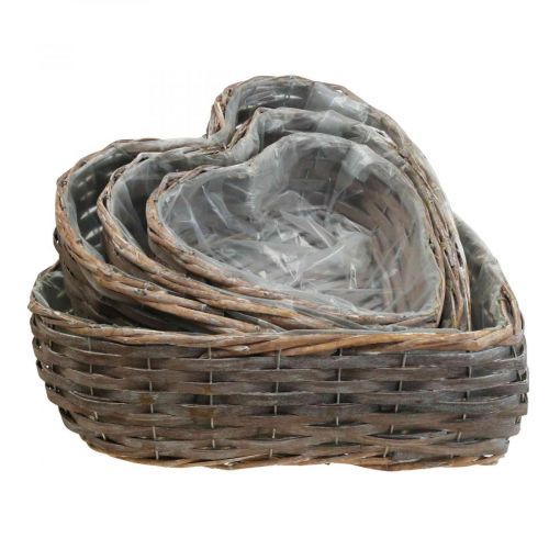 Floristik24 Corbeille à plantes corbeille décorative en forme de coeur plante coeur saule lot de 4