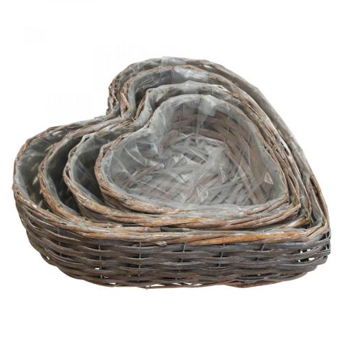Floristik24 Corbeille à plantes corbeille décorative en forme de coeur plante coeur saule lot de 4