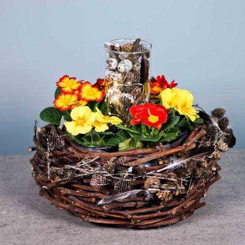 Floristik24 Panier à plantes branches de vigne nature Ø36cm H16cm