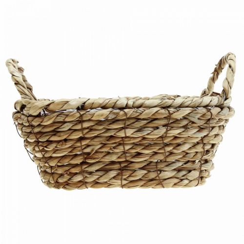 Floristik24 Panier à plantes corbeille en jonc de mer avec anses décoration ovale 23×13×9cm