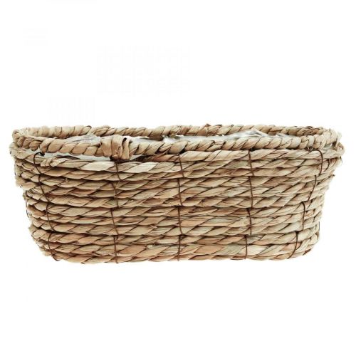 Floristik24 Panier à plantes corbeille en jonc de mer panier décoratif ovale 28×15×10cm