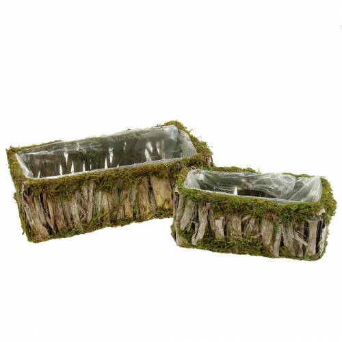 Panier de plantation mousse angulaire, écorce 34 × 15,5 / 24,5 × 11 cm, lot de 2