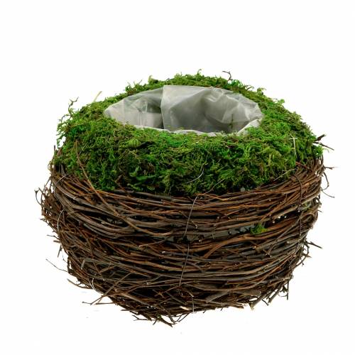 Article Jardinière rotin, mousse Ø16cm H11cm