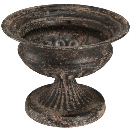 Floristik24 Coupe Plante Calice Aspect Antique Noir Marron Ø20cm H15cm
