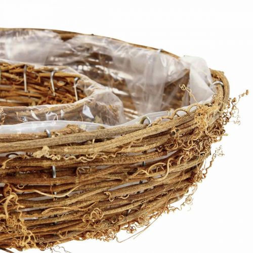 Floristik24 Anneau cep de vigne, coupelle Ø35/30cm lot de 2