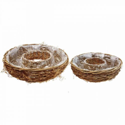 Floristik24 Anneau cep de vigne, coupelle Ø35/30cm lot de 2
