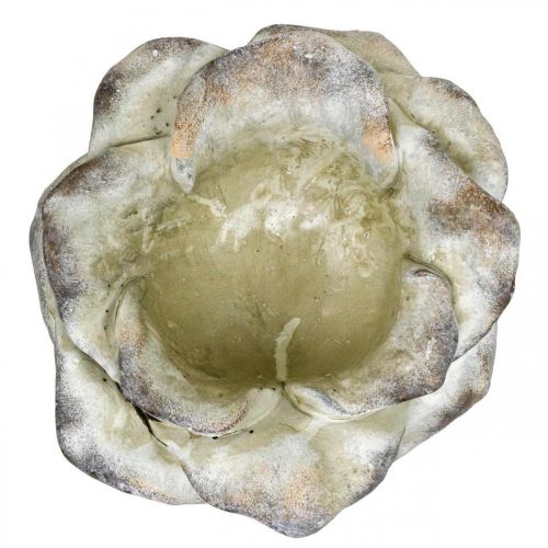 Floristik24 Rose béton, décoration jardin, rosier végétal, fleurs funéraires gris, abricot, violet Ø12cm L26.5cm H11cm