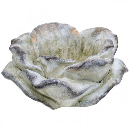 Floristik24 Rose béton, décoration jardin, rosier végétal, fleurs funéraires gris, abricot, violet Ø12cm L26.5cm H11cm