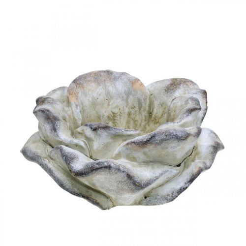 Fleur de rose à planter, fleurs funéraires, pierre rose, décoration béton gris, abricot, violet Ø11cm L22cm H9cm
