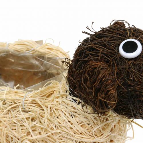 Article Cache-pot vigne de mouton marron blanchi 35×14cm H26cm